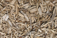 biomass boilers Dragley Beck